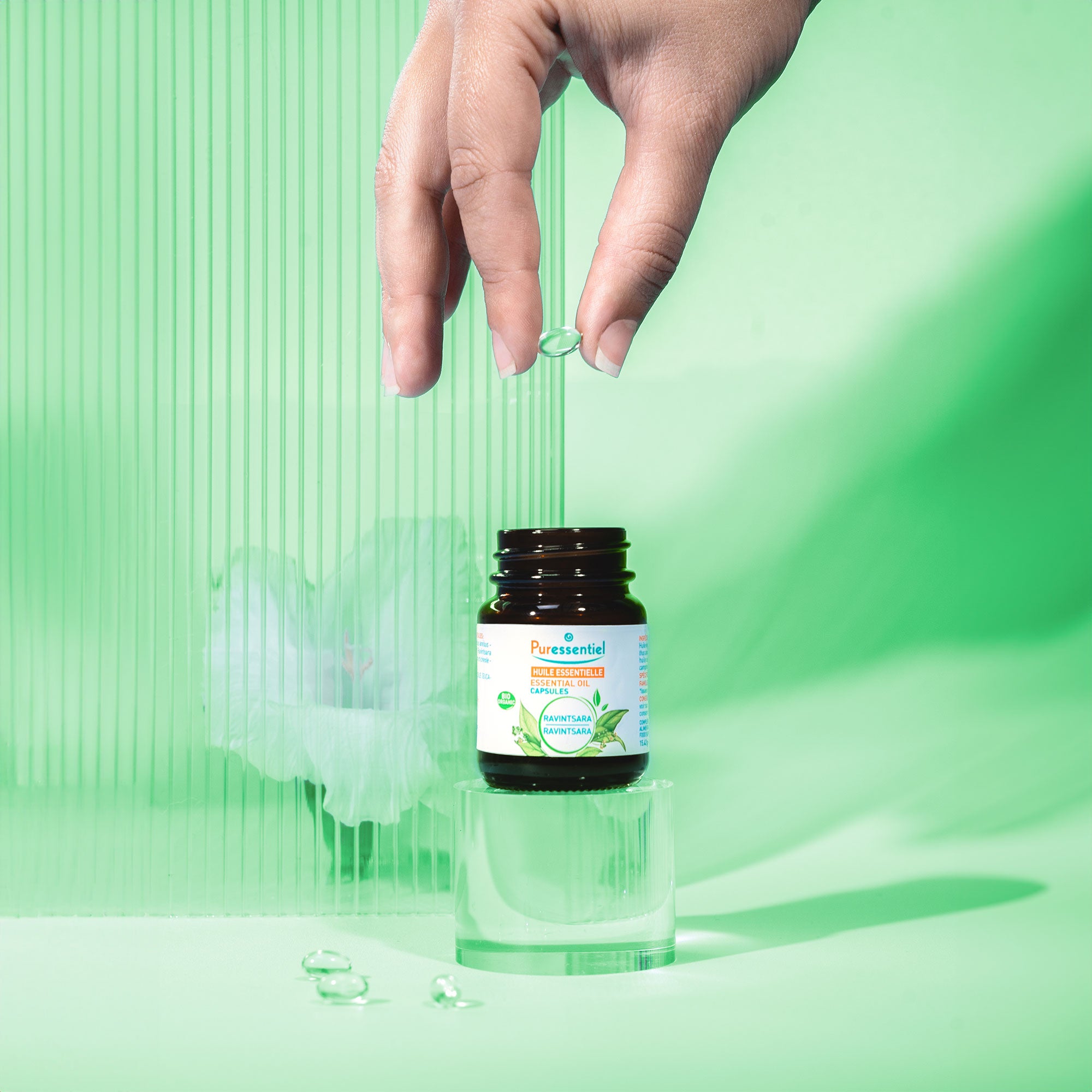 Capsules de Ravintsara BIO