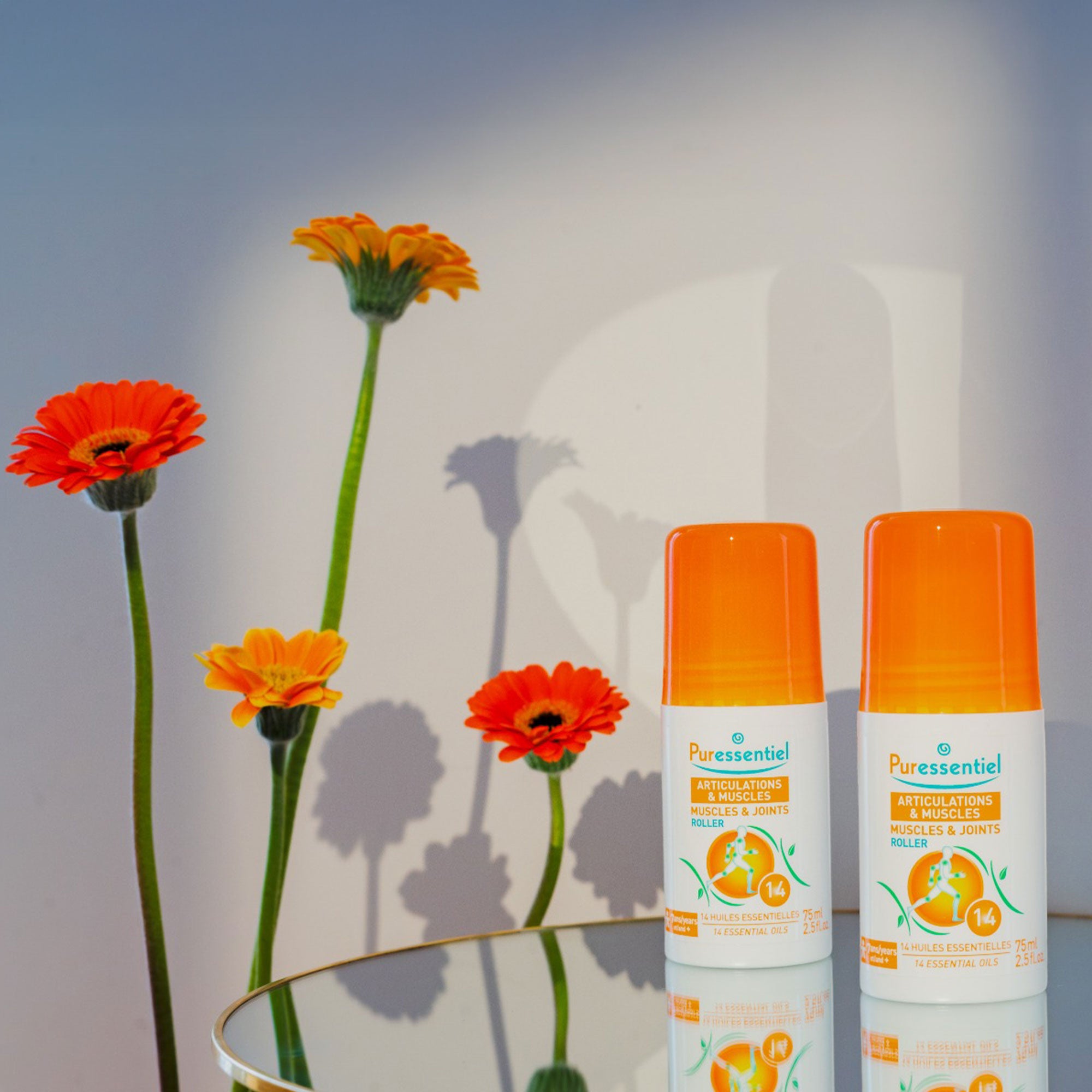 Duo Roller Articulations & Muscles