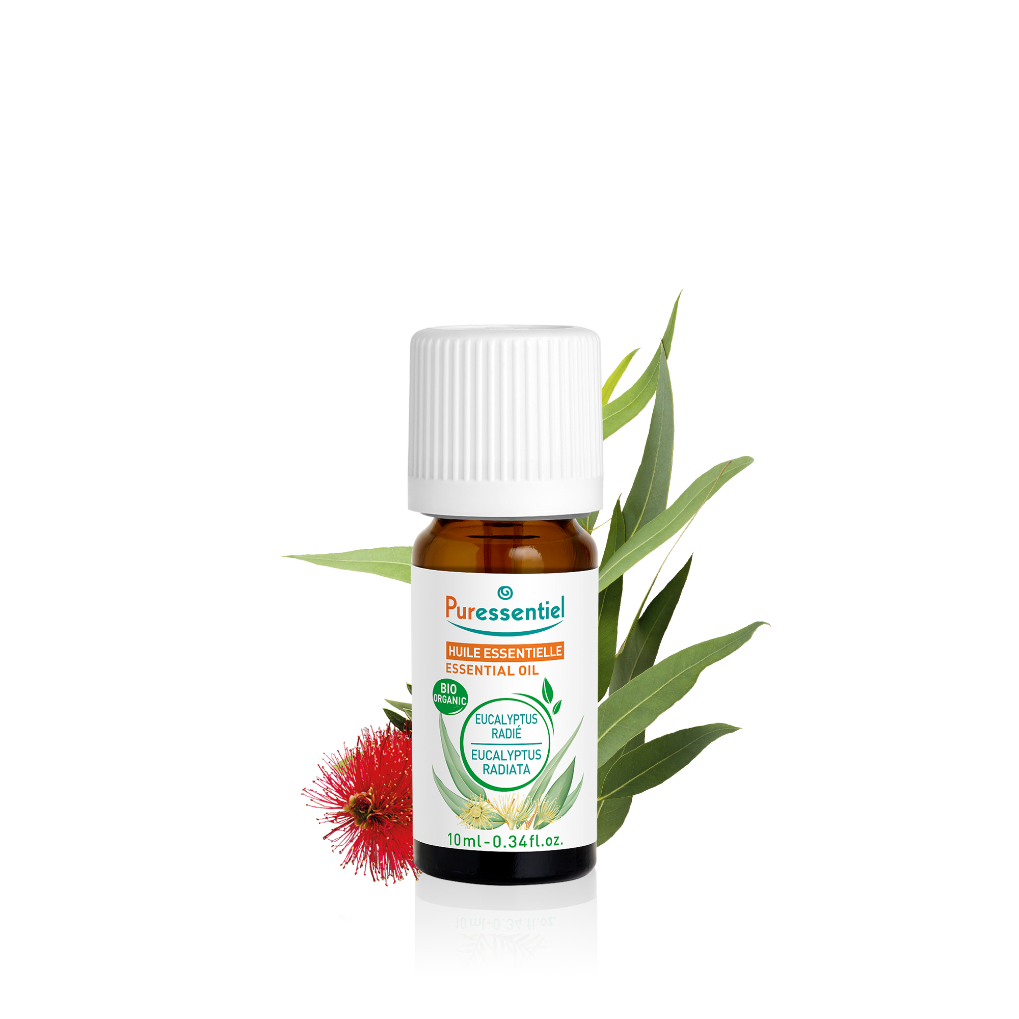 Huile Essentielle Eucalyptus Radié BIO