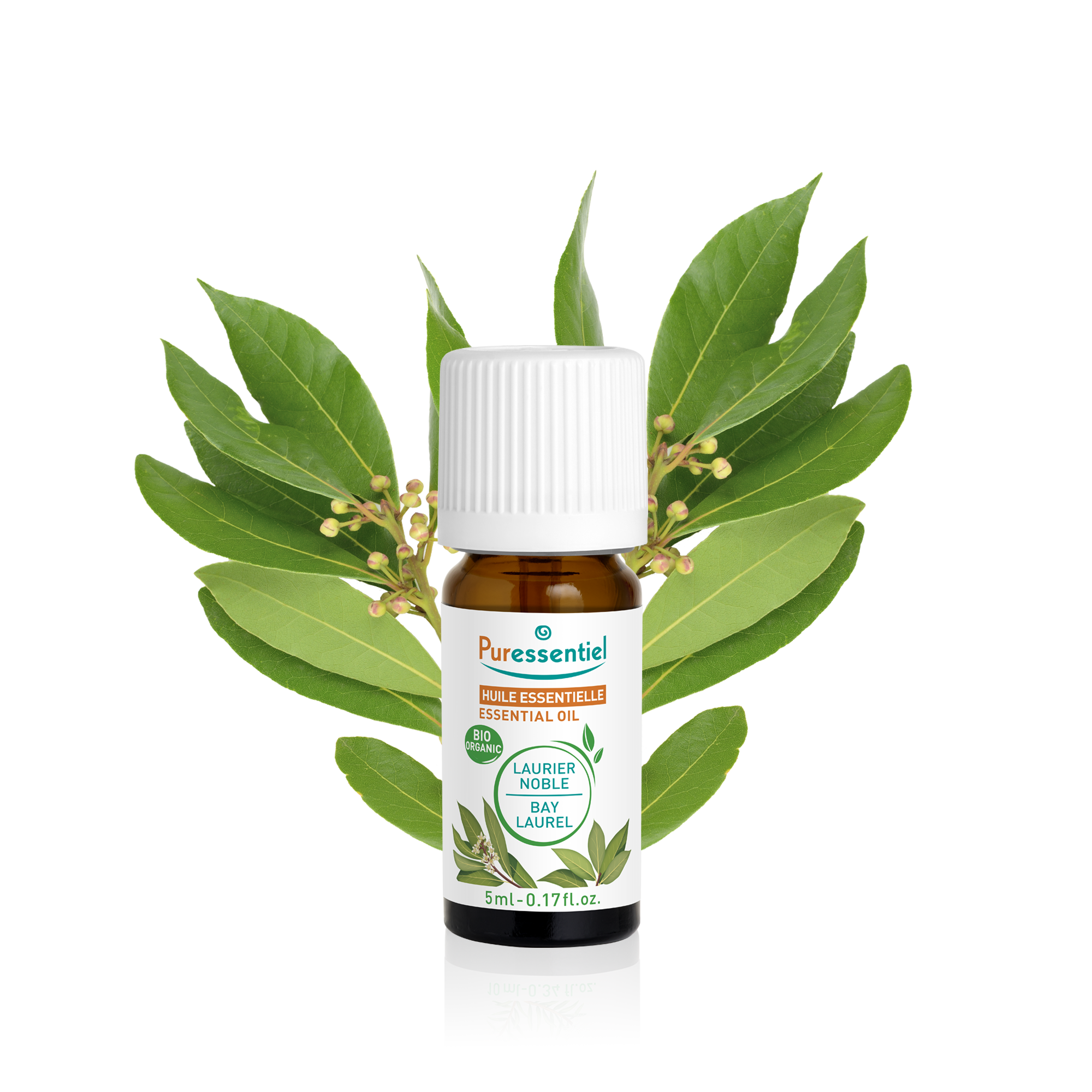 Huile Essentielle Laurier Noble BIO