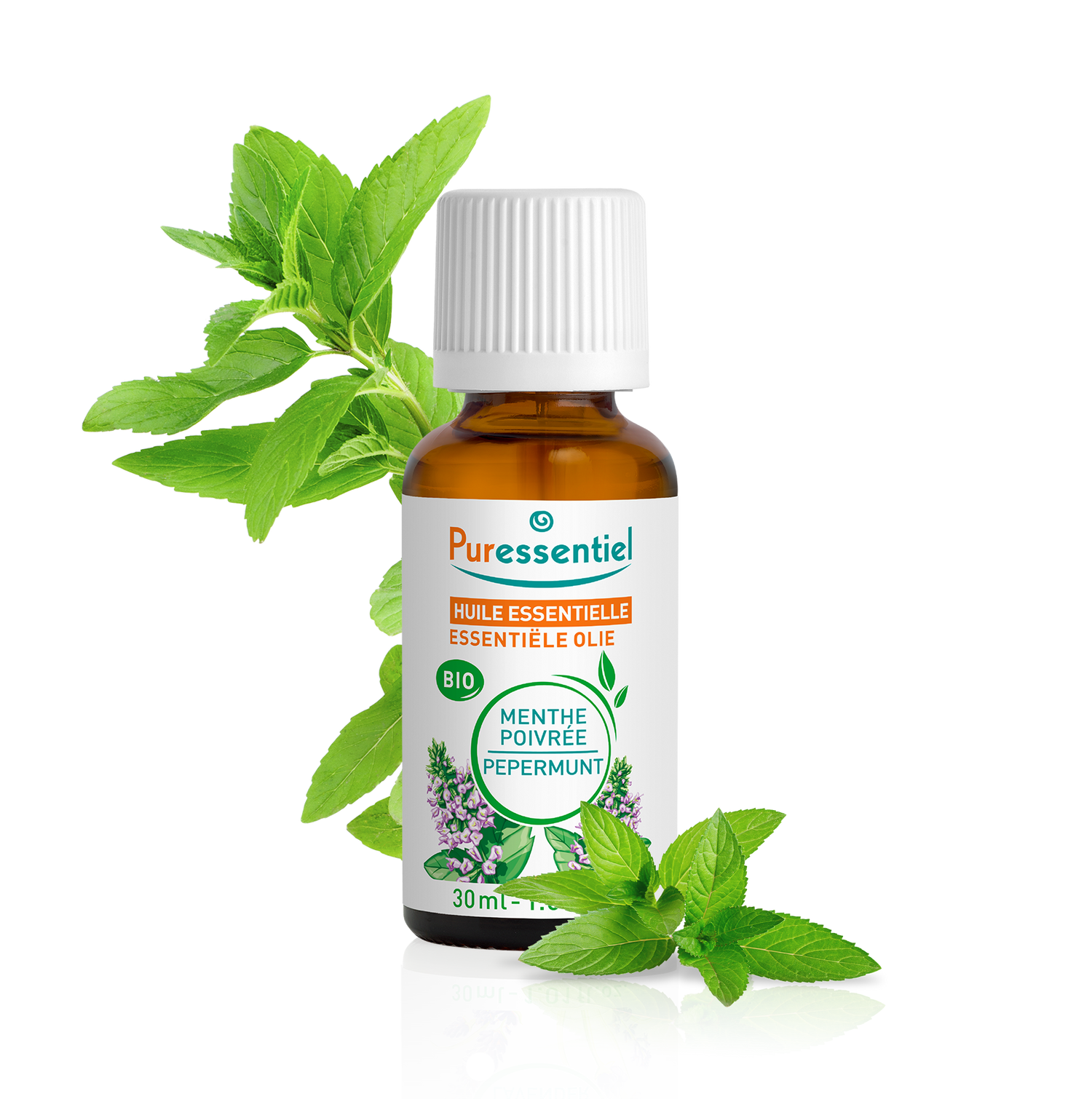 Huile Essentielle Menthe Poivrée BIO