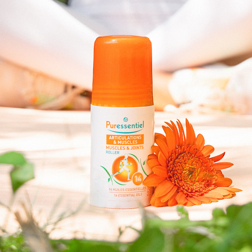 Trio Roller Articulations & Muscles