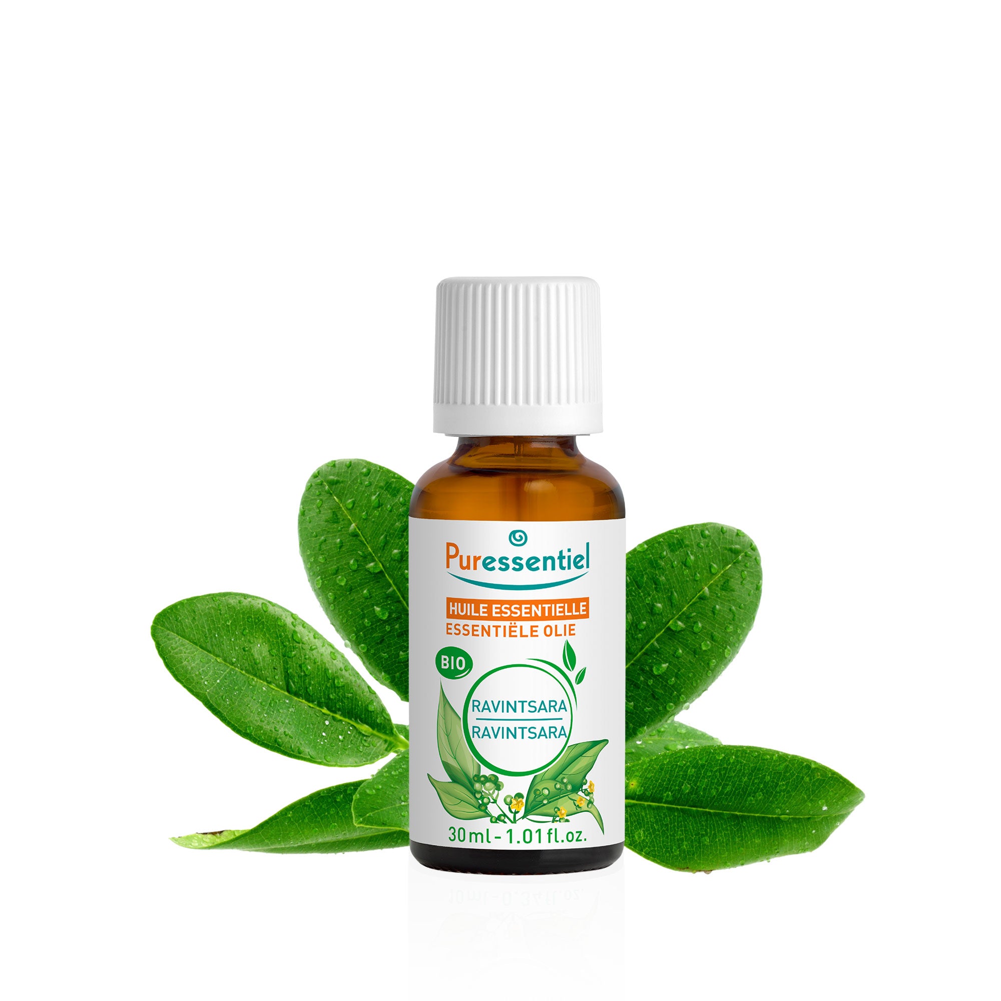 Huile Essentielle Ravintsara BIO