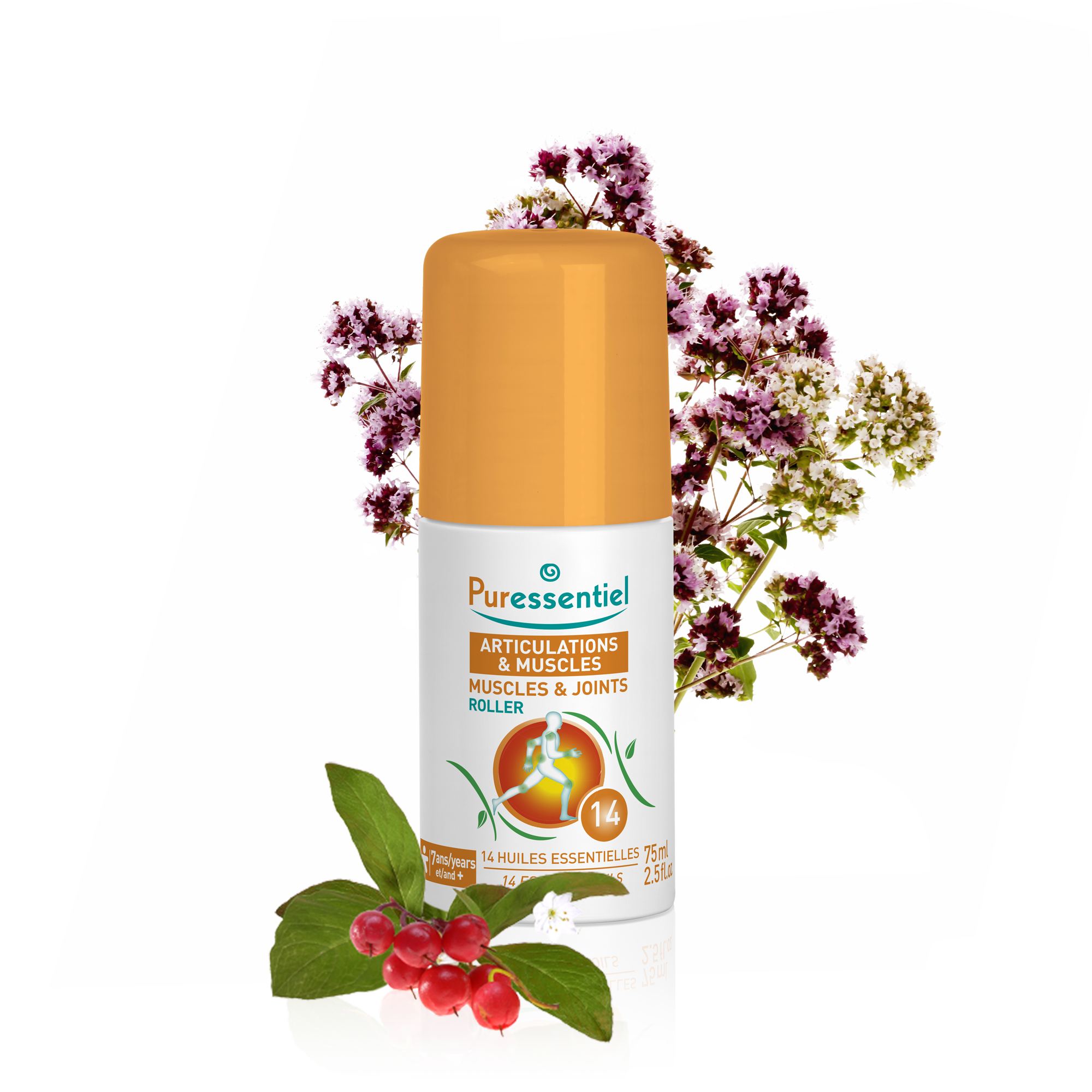 Roller Articulations & Muscles