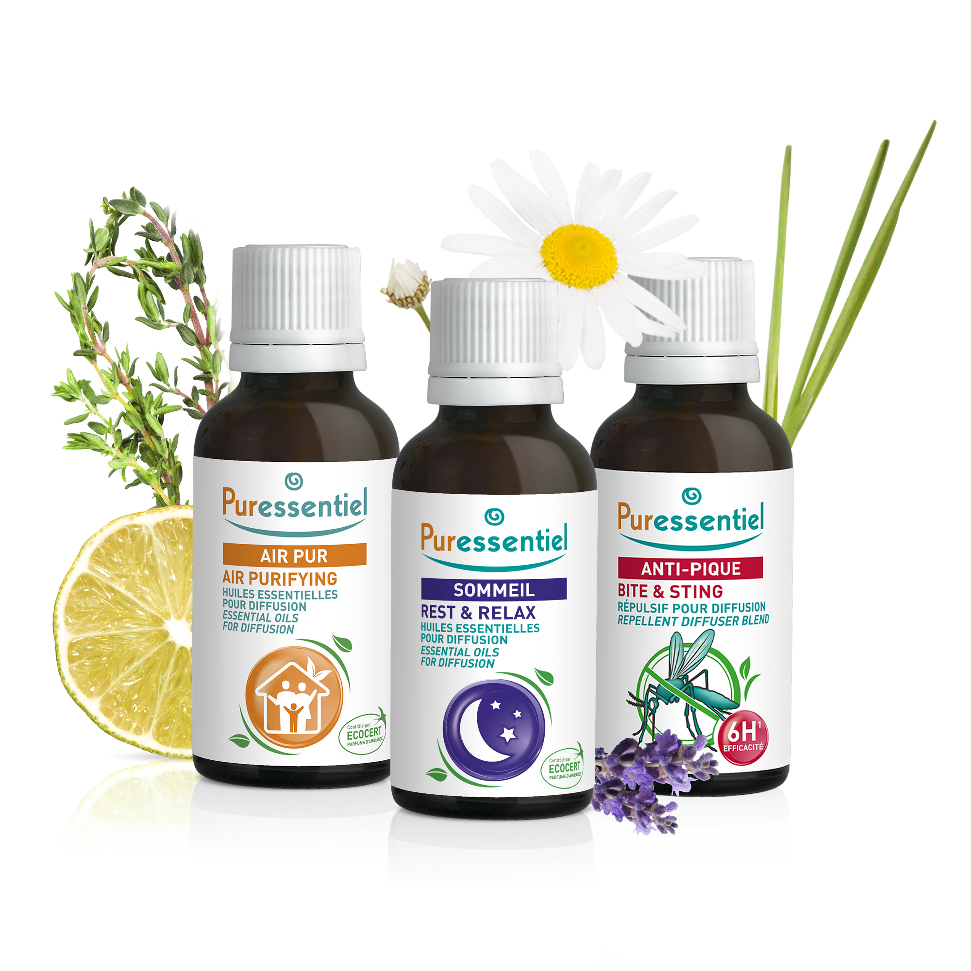 Trio Douceur Printanière