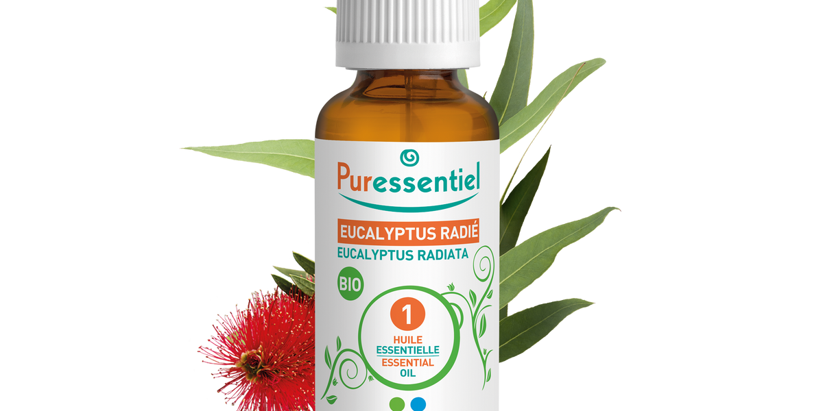 Huile Essentielle d'Eucalyptus Radié BIO, Aromathérapie