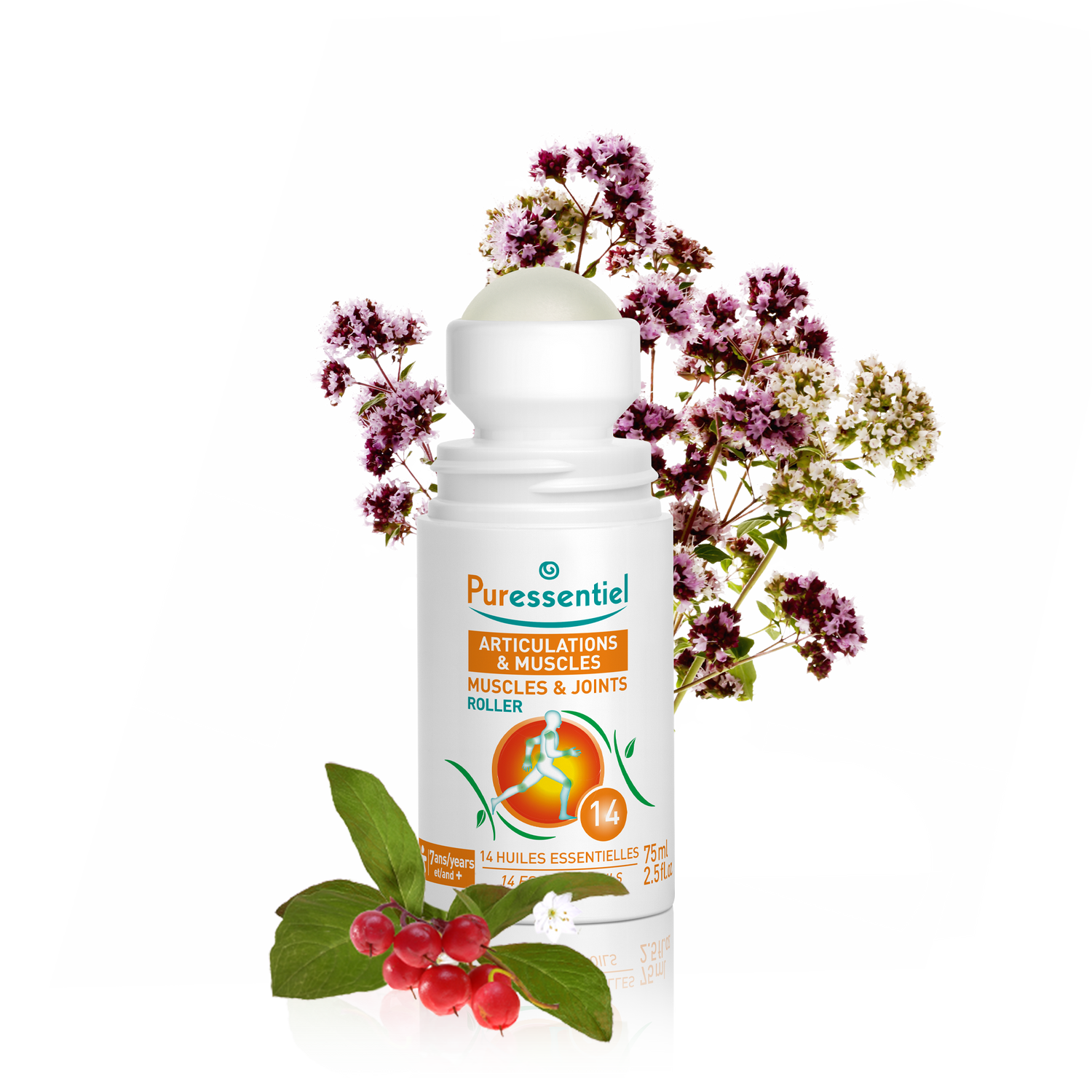 Roller Articulations & Muscles