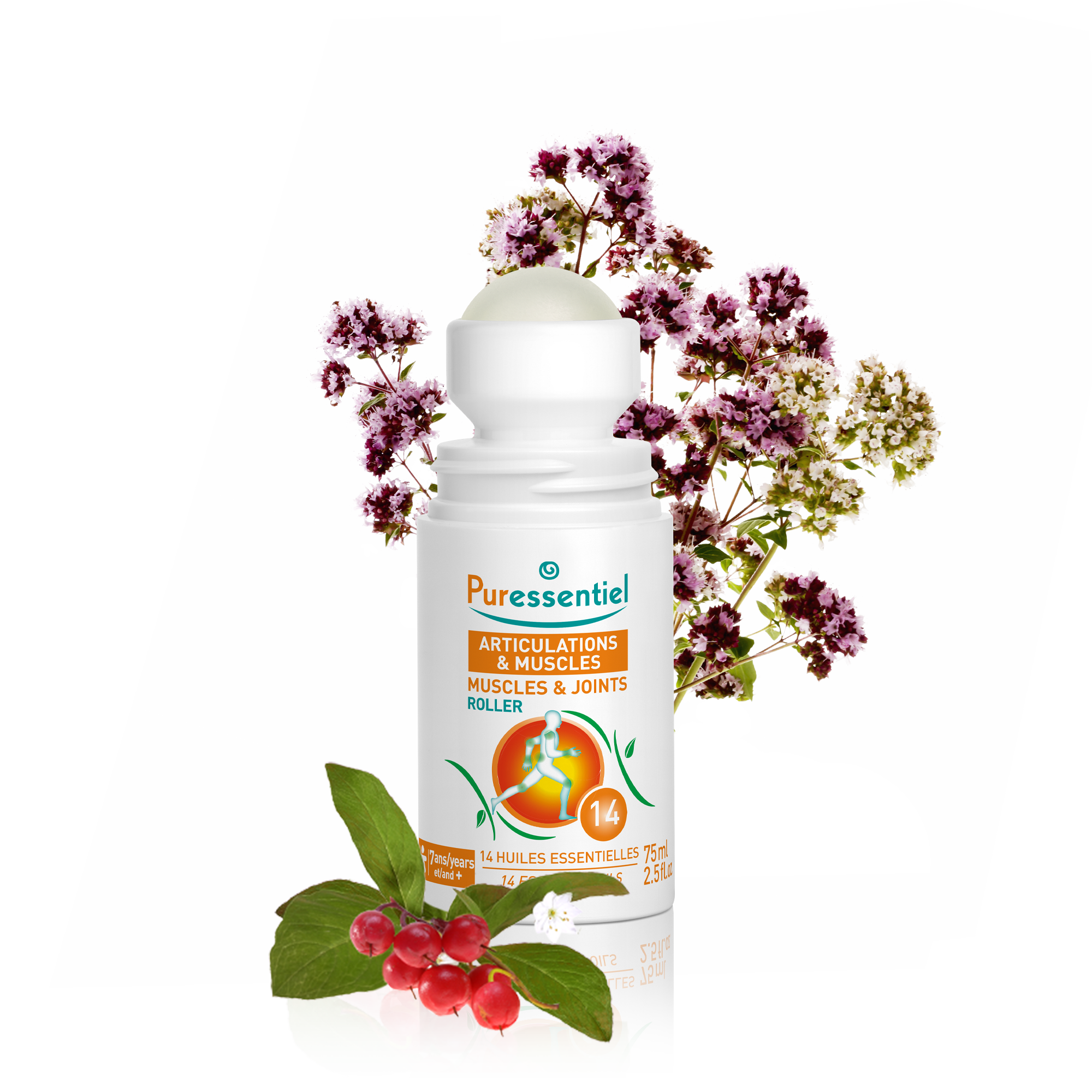 Roller Articulations & Muscles