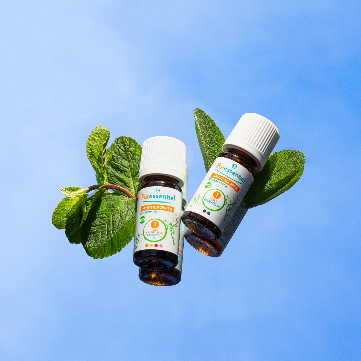 Huile Essentielle Menthe Poivrée BIO