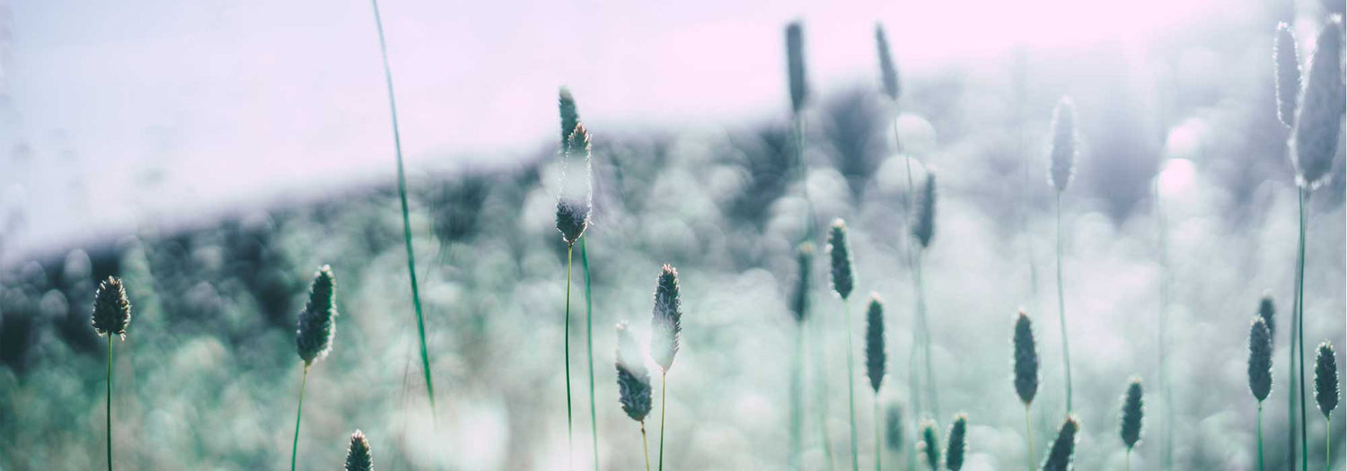 soigner ses émotions huile essentielles puressentiel