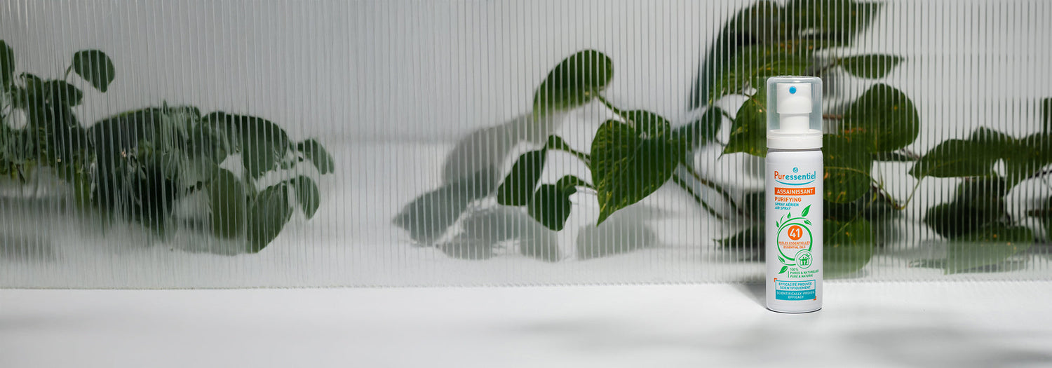 Comment assainir et purifier mon intérieur grâce aux huiles essentielles ?