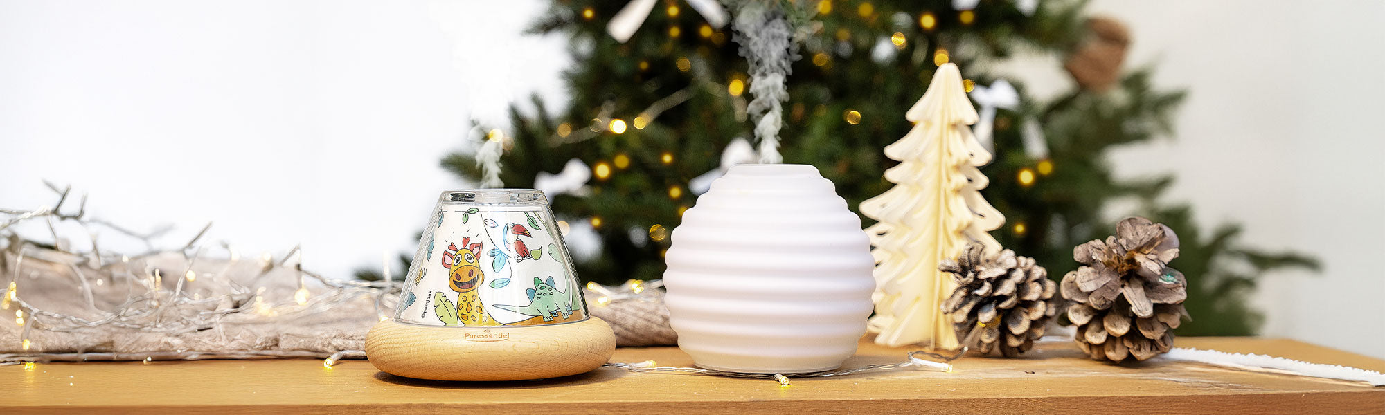 Comment bien choisir son diffuseur d'huiles essentielles ?
