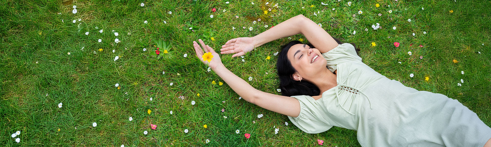 Soignez vos émotions avec les huiles essentielles