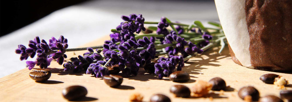 L'essentiel de l'aromathérapie : histoire & bienfaits - Le blog air&me