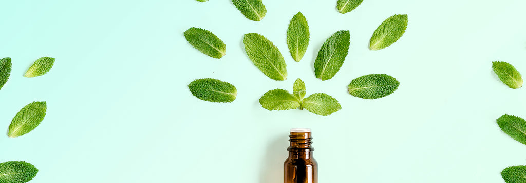 Pourquoi choisir l'huile essentielle de menthe poivrée pour vos cheveu –  Medene