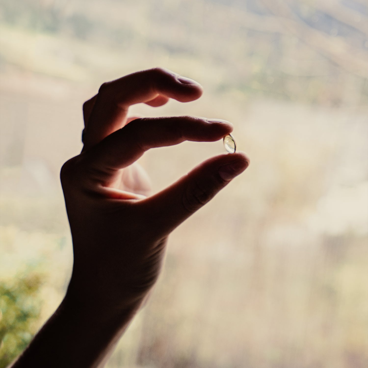 Capsules de Menthe Poivrée BIO