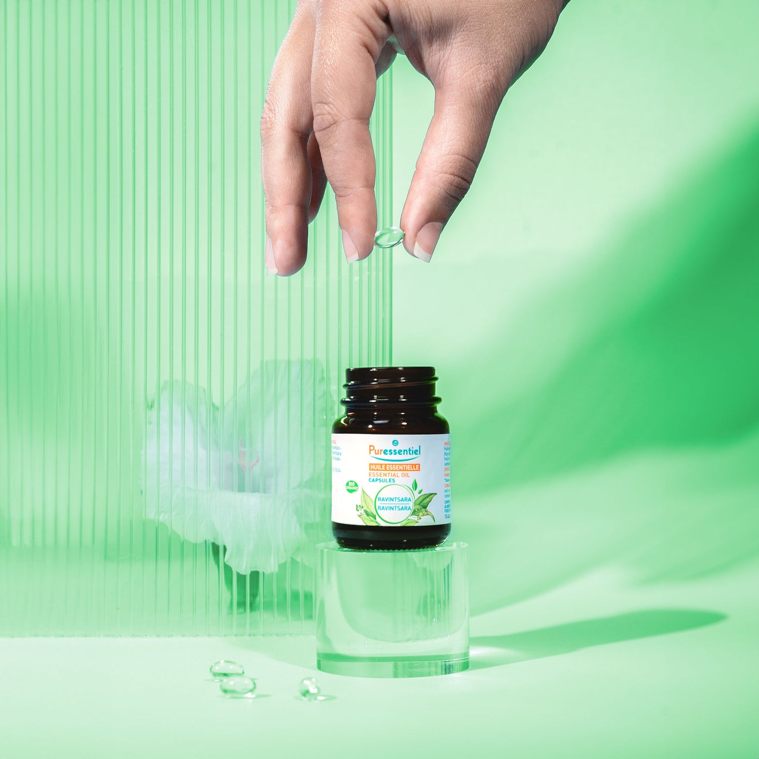 Capsules de Ravintsara BIO