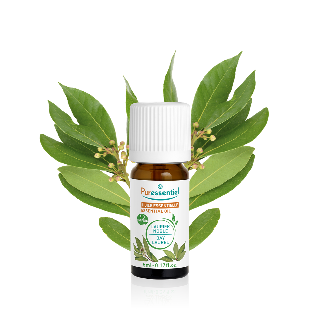 Huile Essentielle Laurier Noble BIO