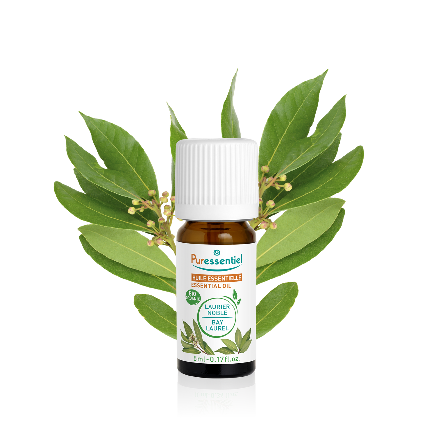 Huile Essentielle Laurier Noble BIO
