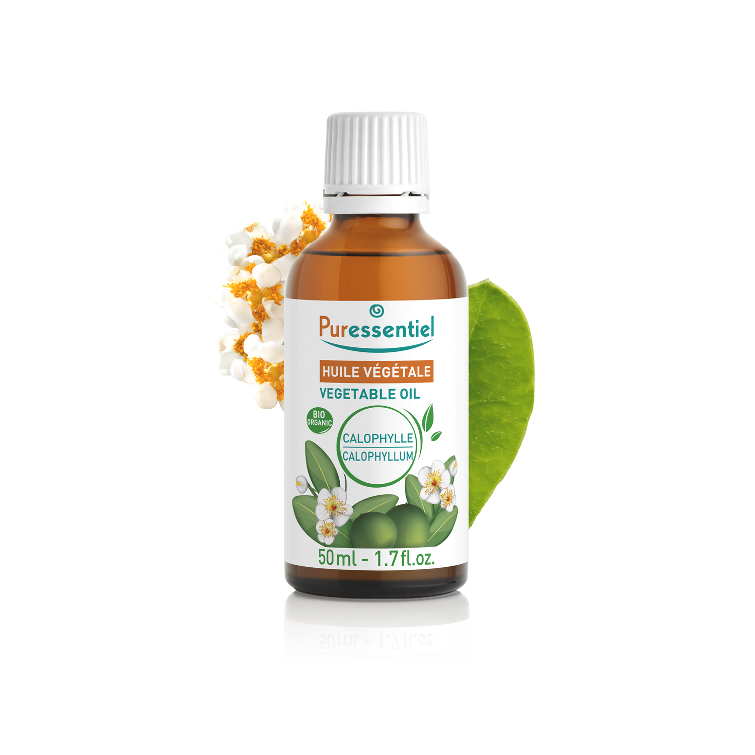Huile Végétale BIO Calophylle