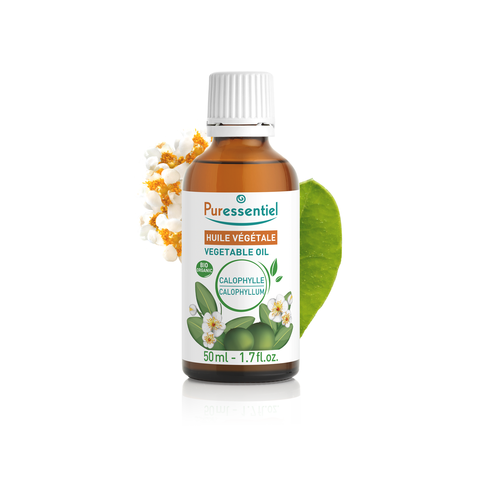 Huile Végétale BIO Calophylle