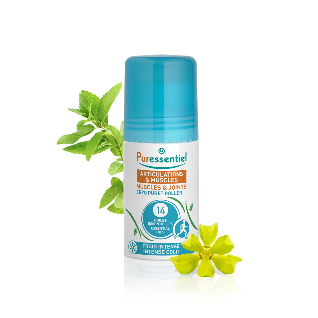 Roller Cryo Pure® Articulations & Muscles