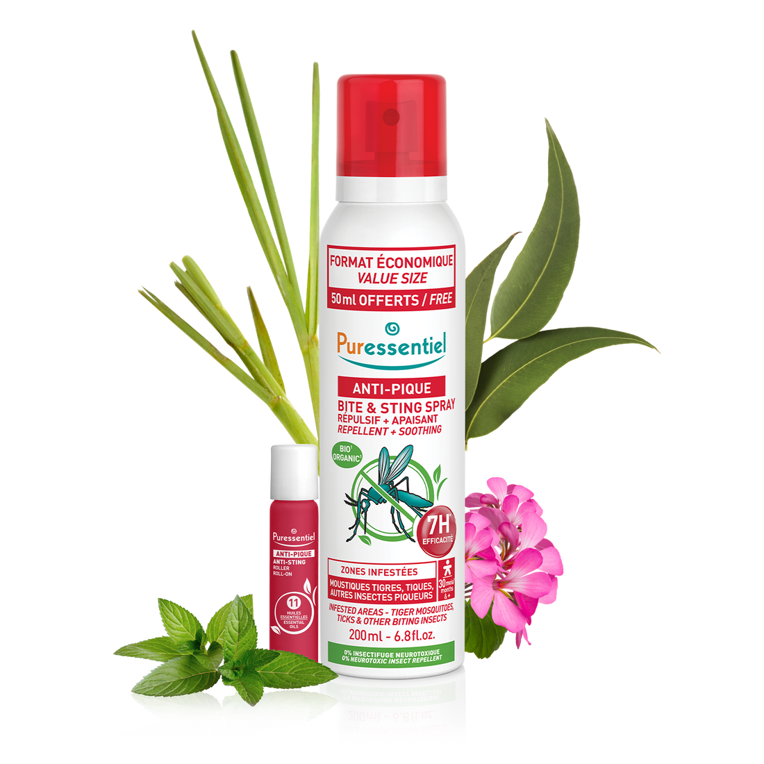 Kit Tropical