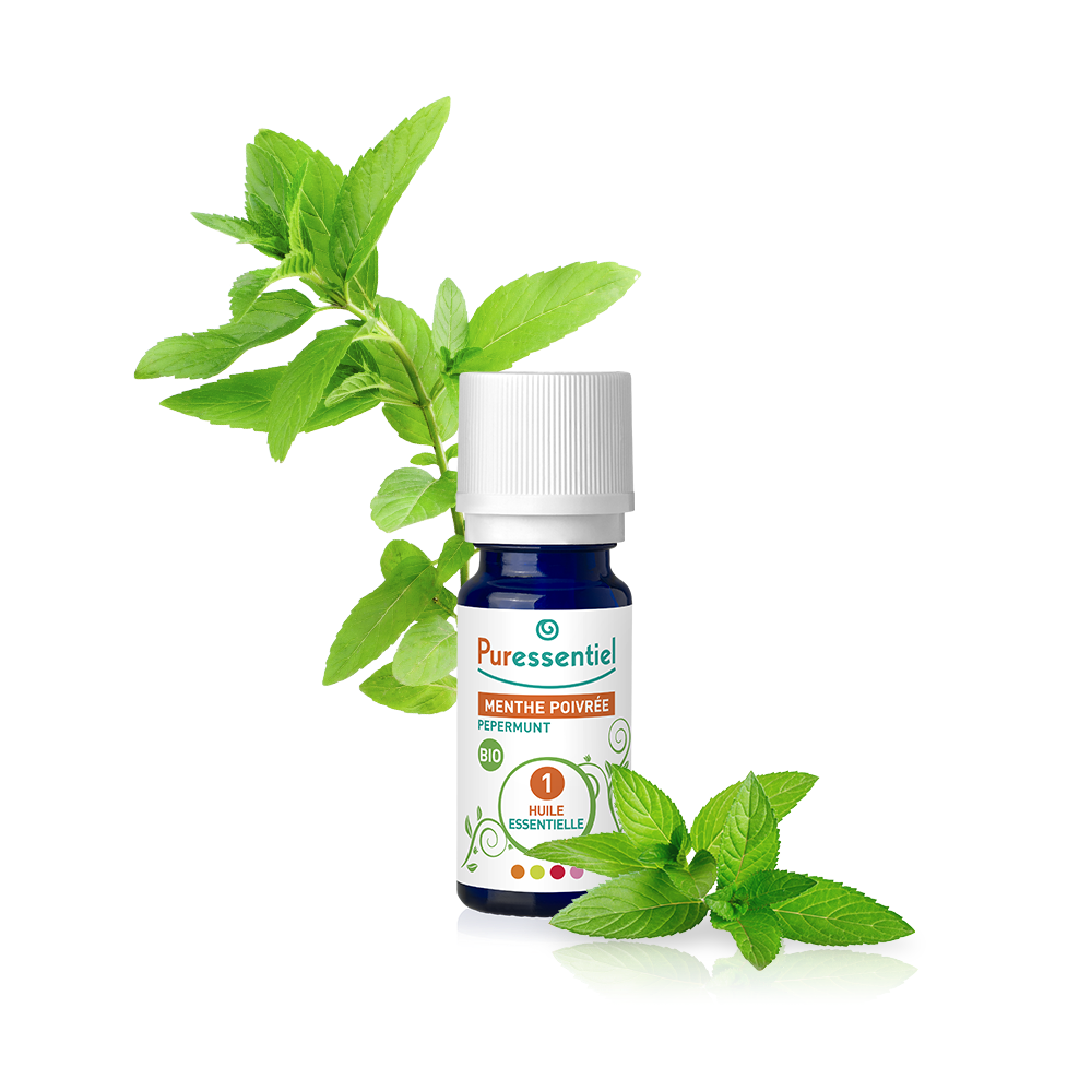 huile essentielle menthe poivrée bio 10 ml puressentiel